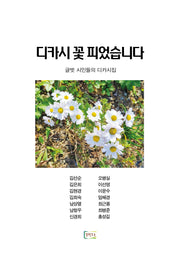 디카시 꽃 피었습니다