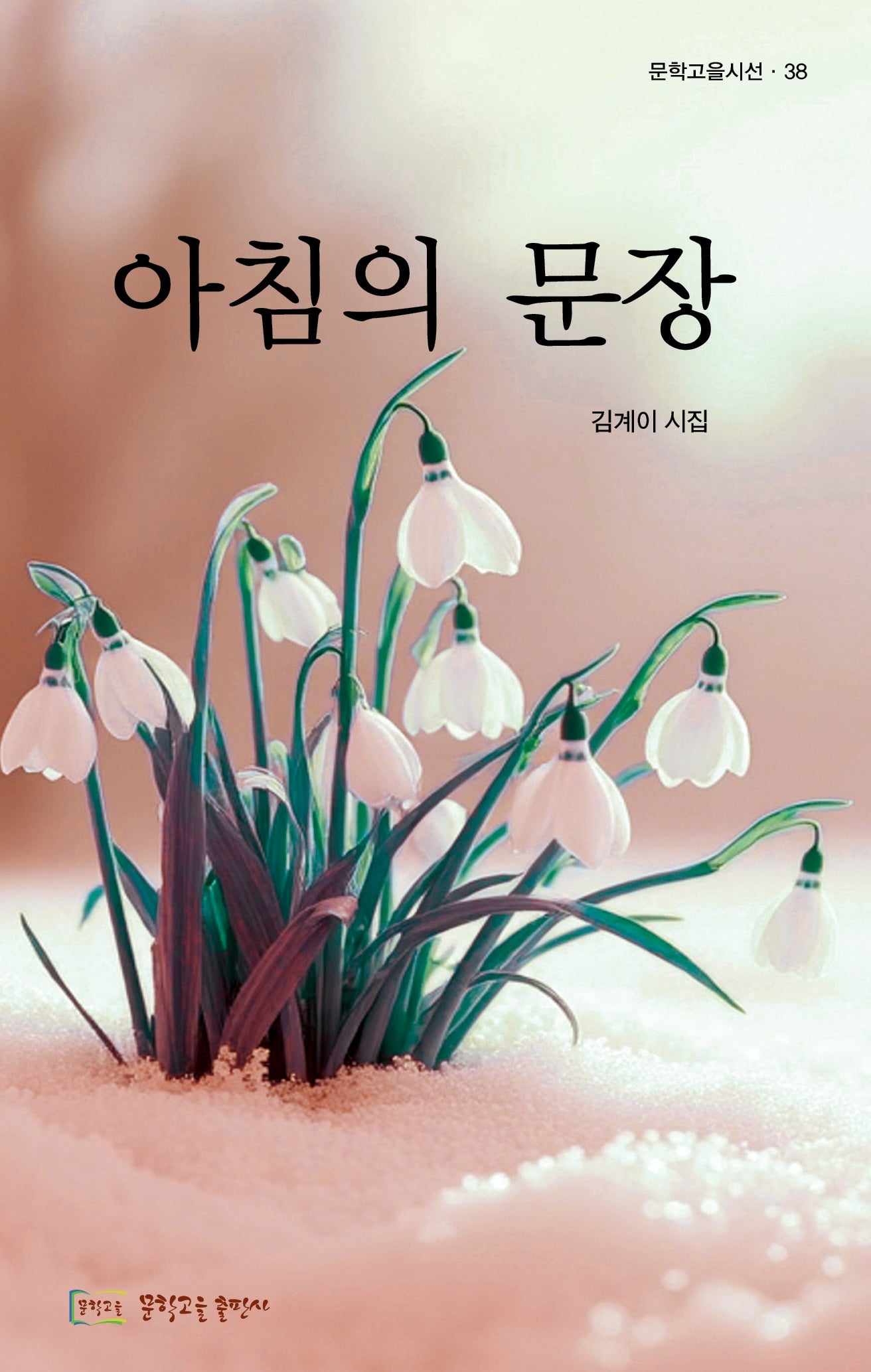 아침의 문장(문학고을시선 38)