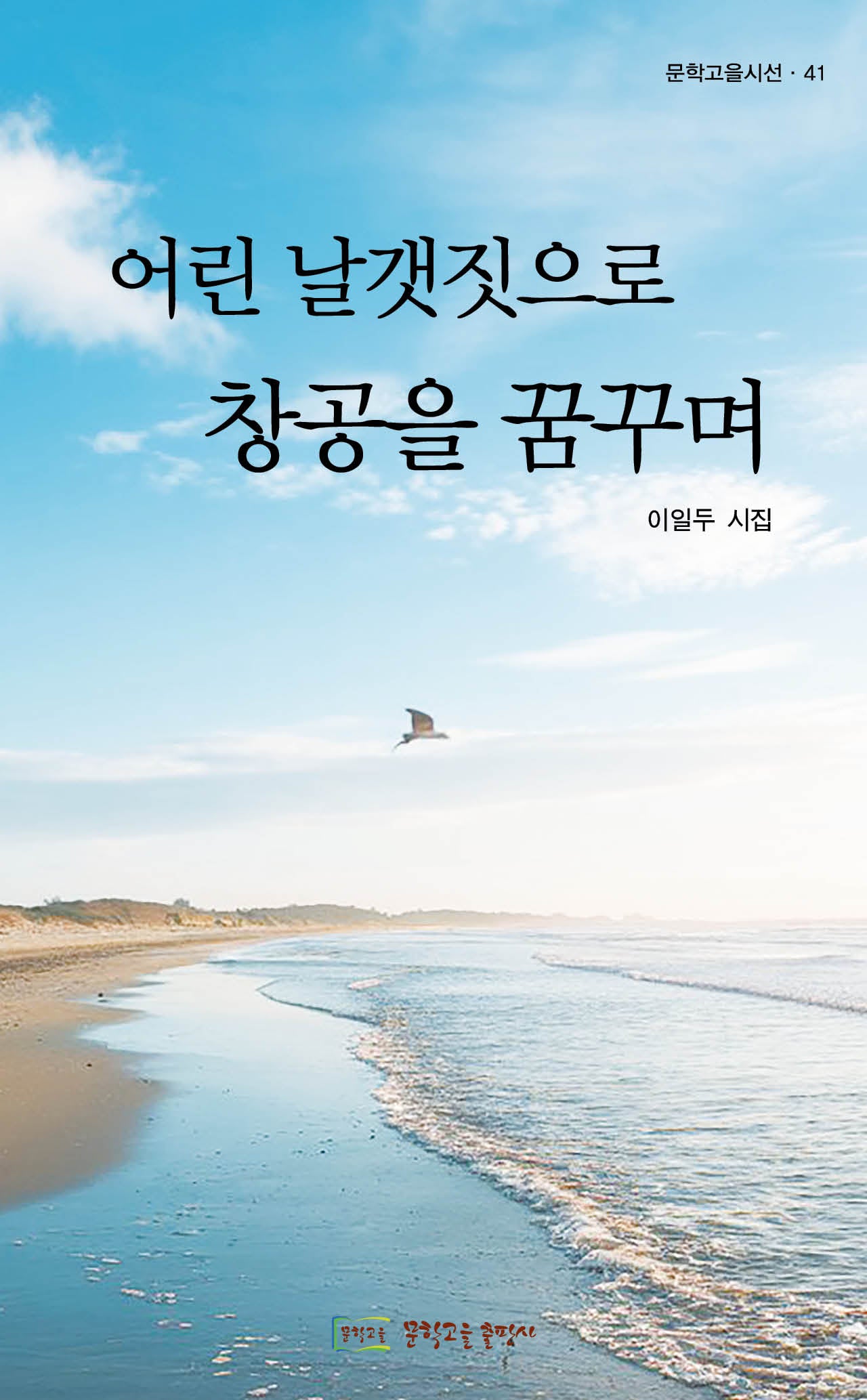 어린 날갯짓으로 창공을 꿈꾸며(문학고을시선 41)