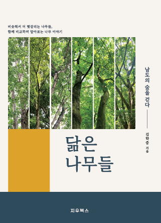 닮은 나무들