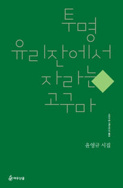 투명 유리잔에서 자라는 고구마(시인수첩 기획시인선 2)