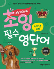 초잉 필수 영단어 4: 6학년 과정
