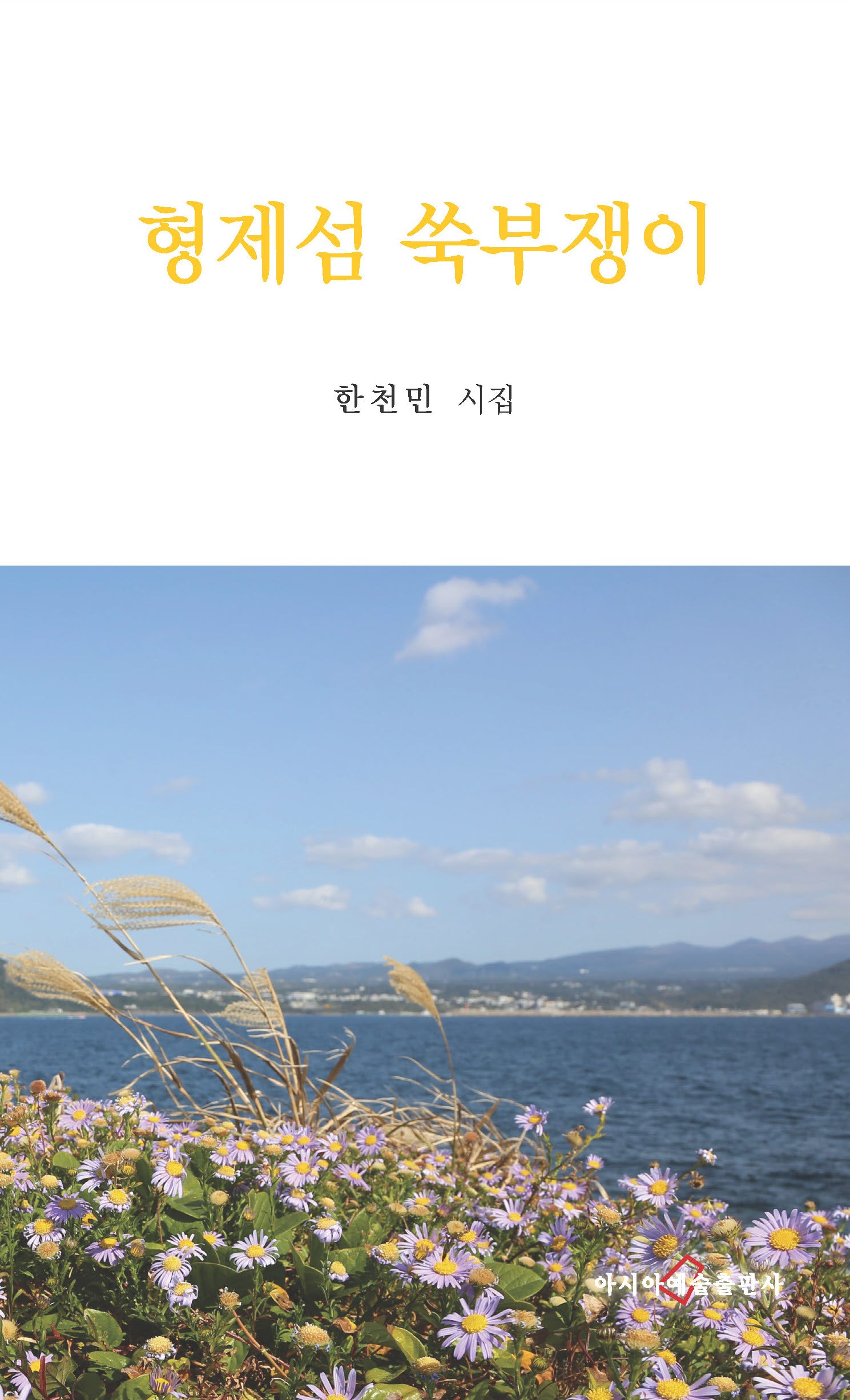 형제섬 쑥부쟁이