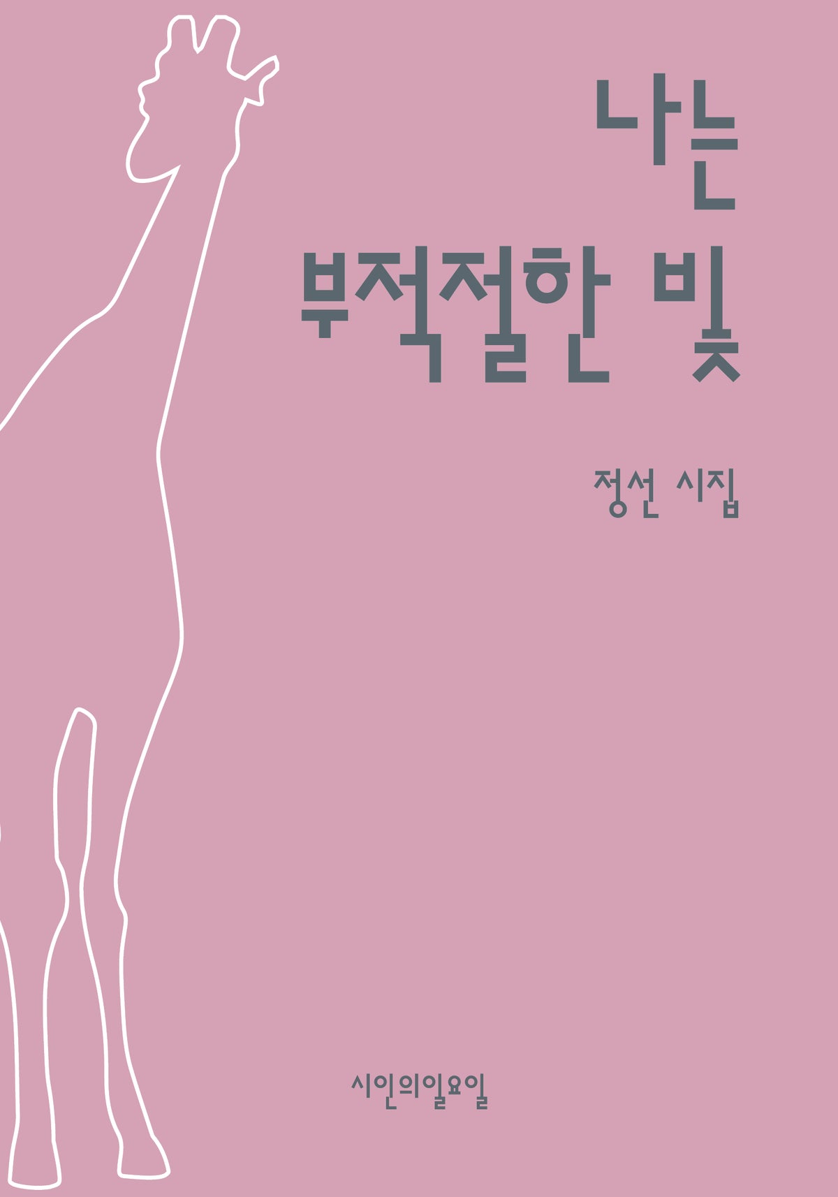 나는 부적절한 빛(시인의일요일시집 49)