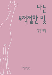 나는 부적절한 빛(시인의일요일시집 49)