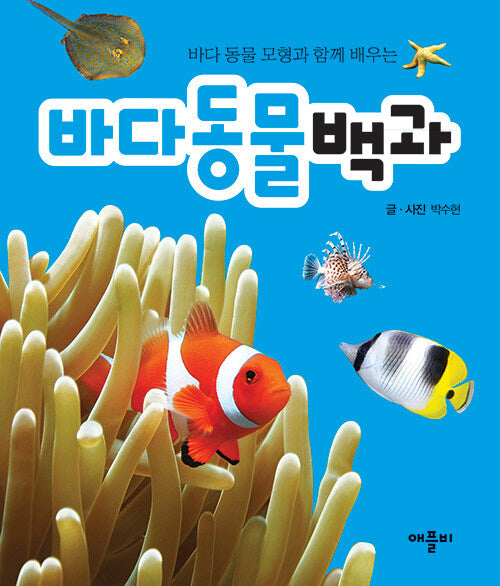 바다 동물 모형과 함께 배우는 바다동물백과