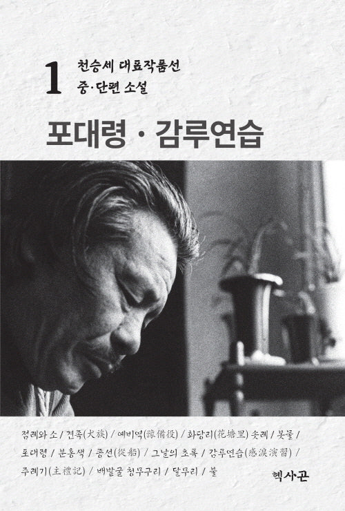 포대령 감루연습(천승세 대표작품선 1)