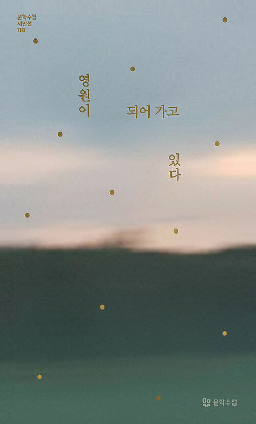 영원이 되어 가고 있다(문학수첩 시인선 118)