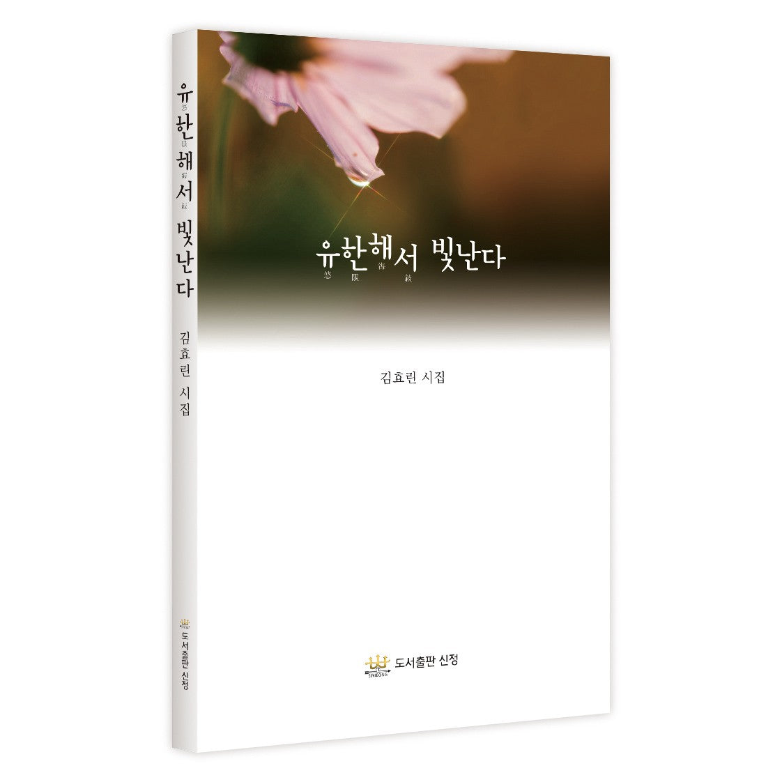 유한해서 빛난다