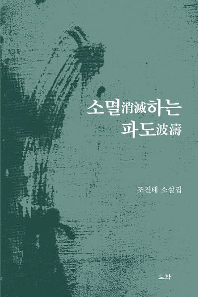 소멸하는 파도