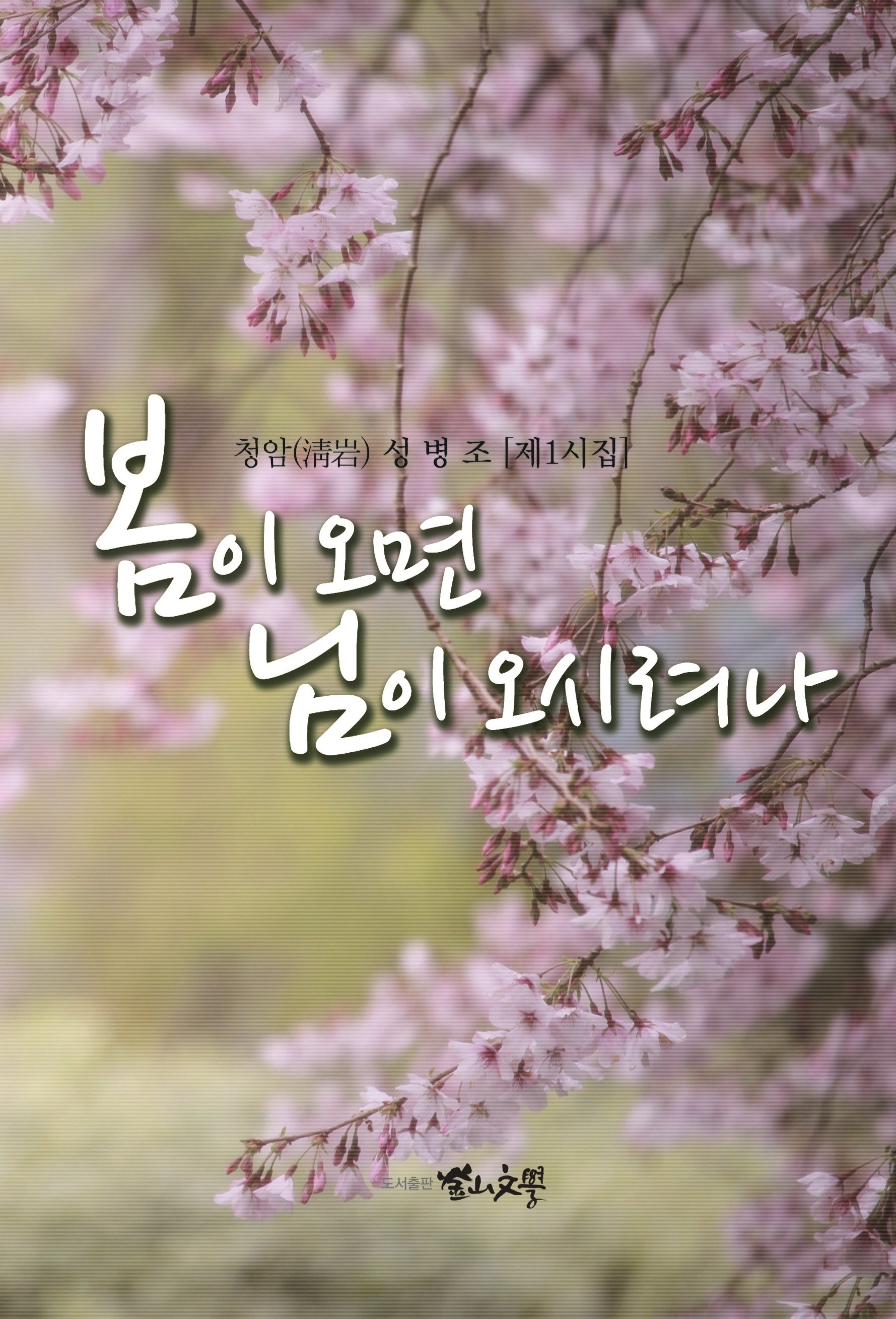 봄이 오면 님이 오시려나