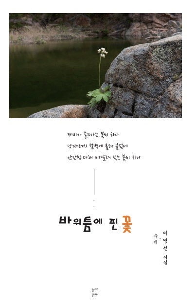 바위틈에 핀 꽃