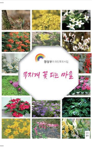 무지개 꽃 피는 마을