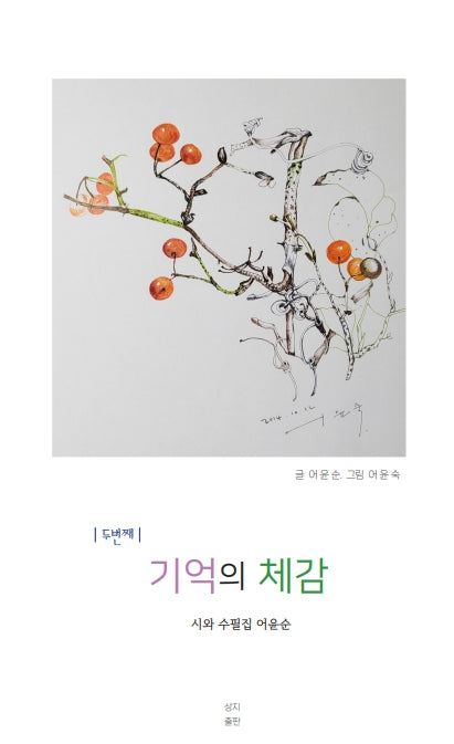 기억의 체감