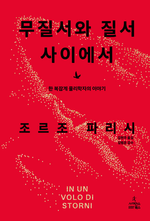 무질서와 질서 사이에서