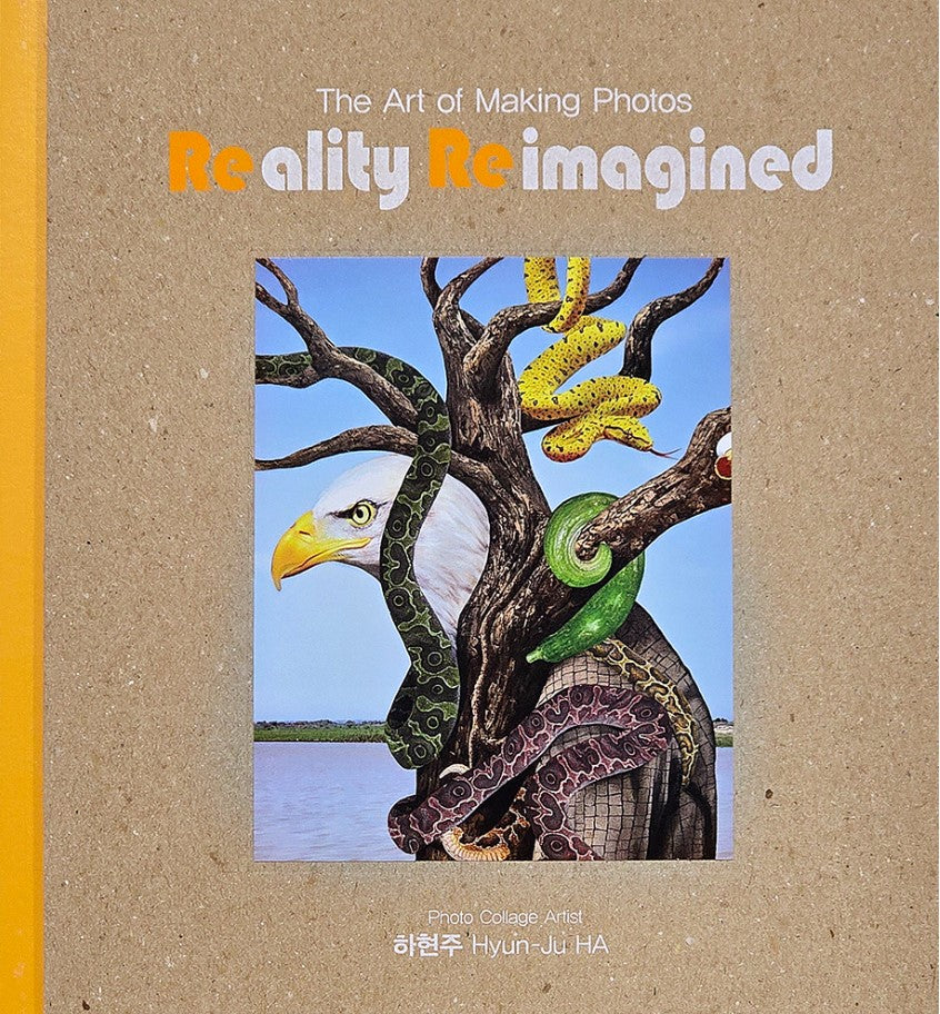 Reality Reimagined