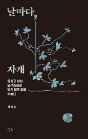 날마다, 자개(날마다 시리즈)