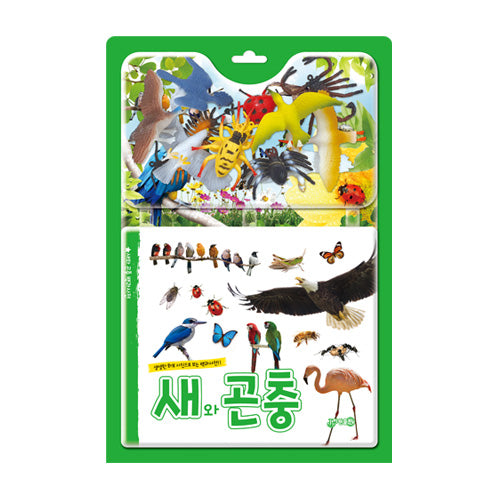 새와곤충 백과사전(개정판)(장난감/완구)