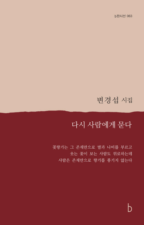 다시 사람에게 묻다(b판시선 63)