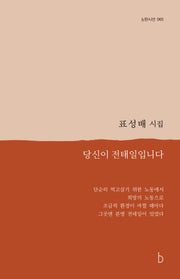 당신이 전태일입니다(b판시선 65)