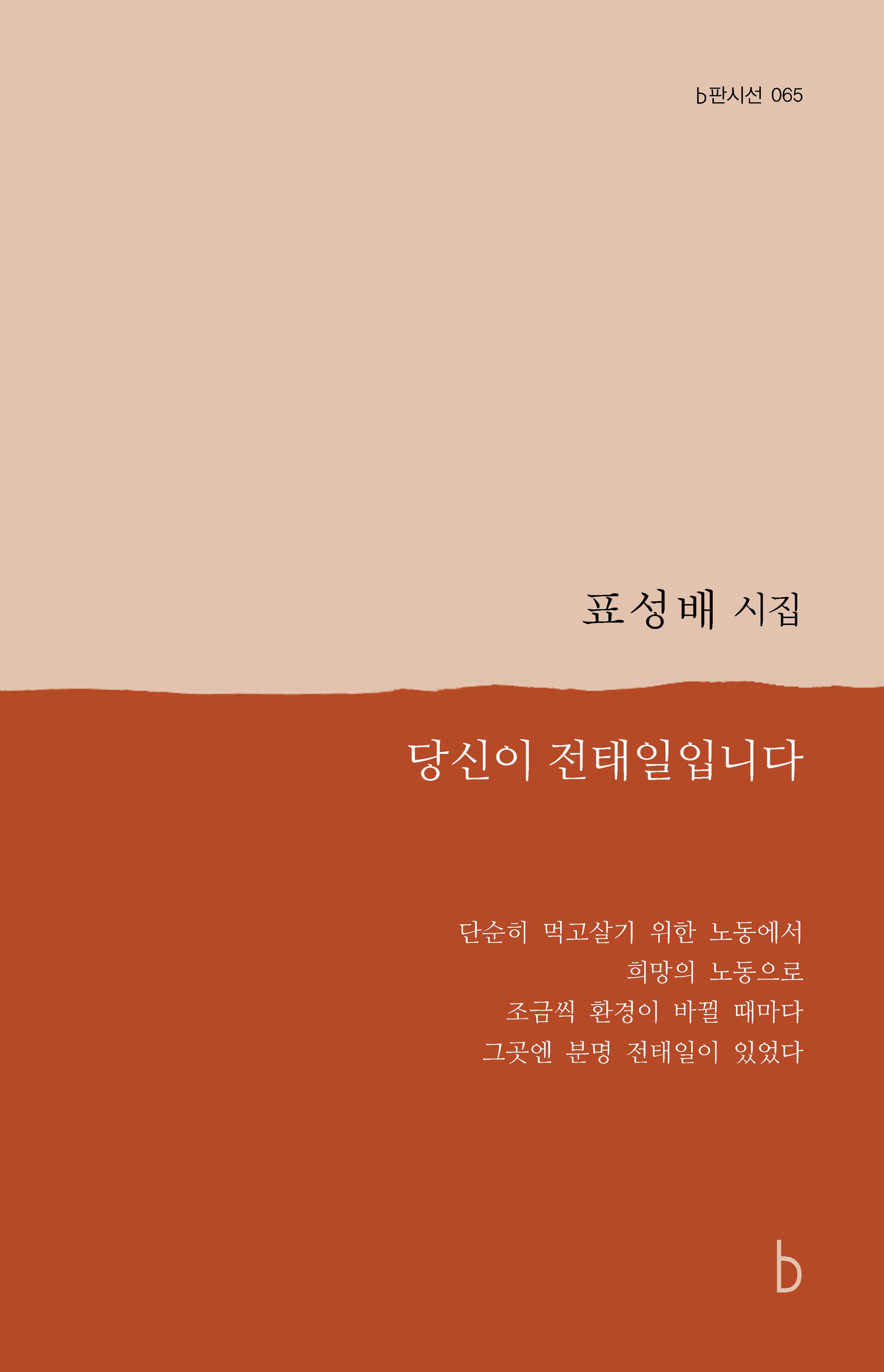 당신이 전태일입니다(b판시선 65)