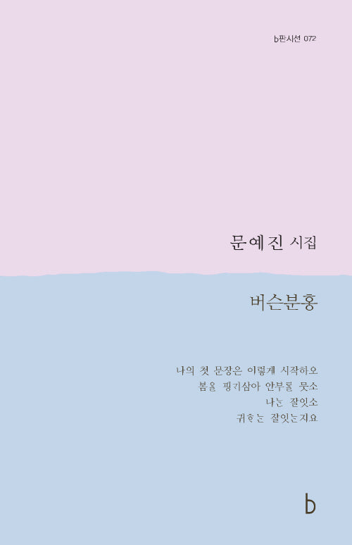 버슨분홍(b판시선 72)(반양장)