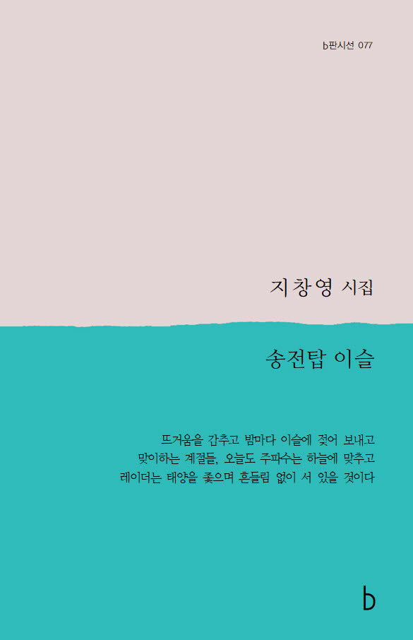 송전탑 이슬(b판시선 77)(반양장)