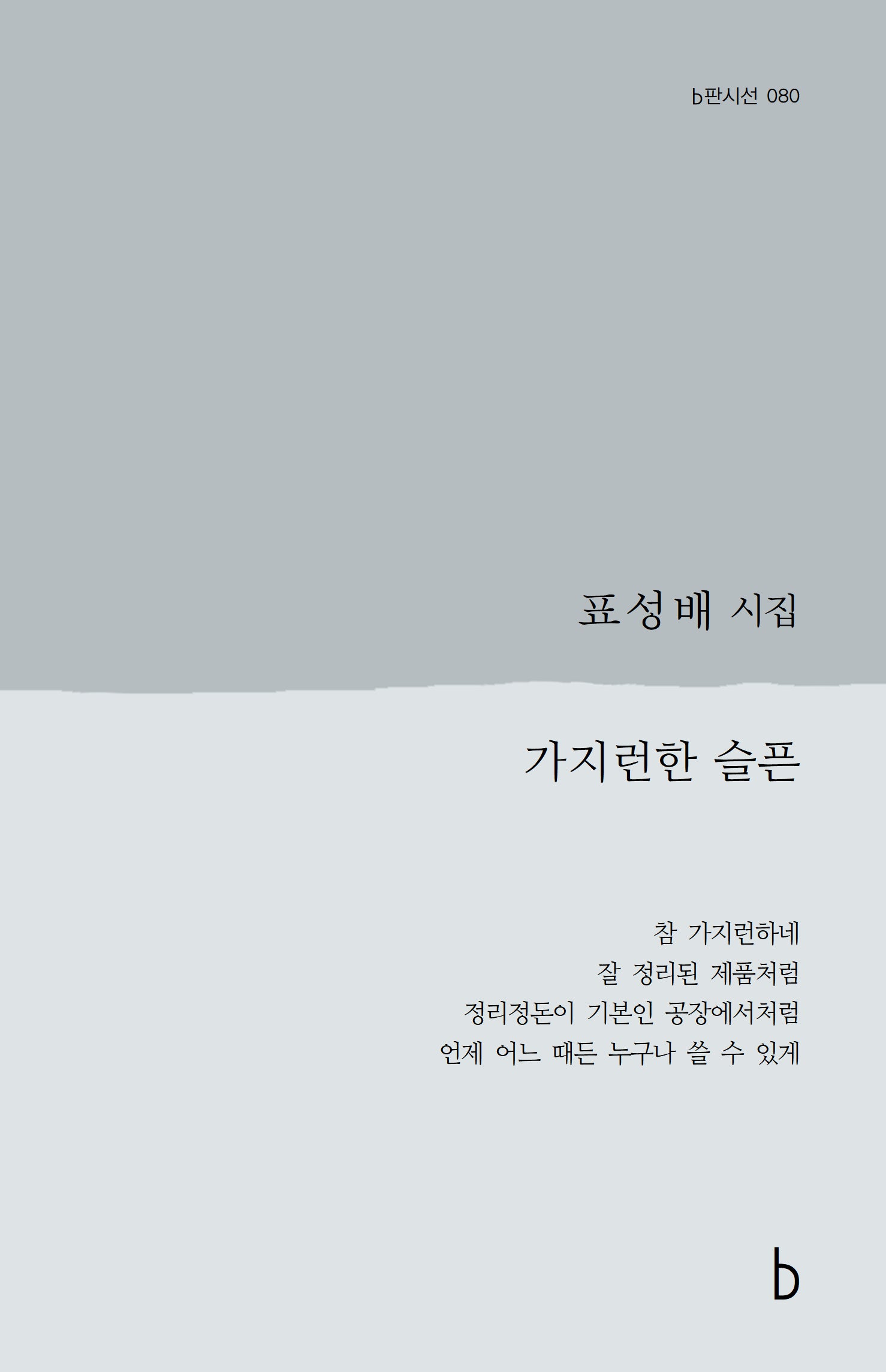가지런한 슬픈(b판시선 80)