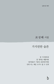 가지런한 슬픈(b판시선 80)