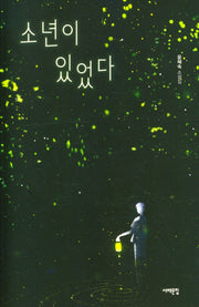 소년이 있었다(서해문집 청소년문학 26)
