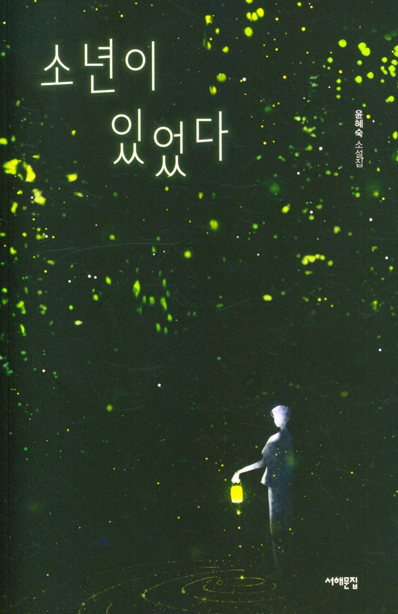 소년이 있었다(서해문집 청소년문학 26)