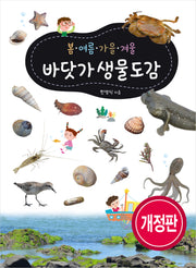 봄 여름 가을 겨울 바닷가 생물도감(개정판)(봄ㆍ여름ㆍ가을ㆍ겨울 도감 시리즈)