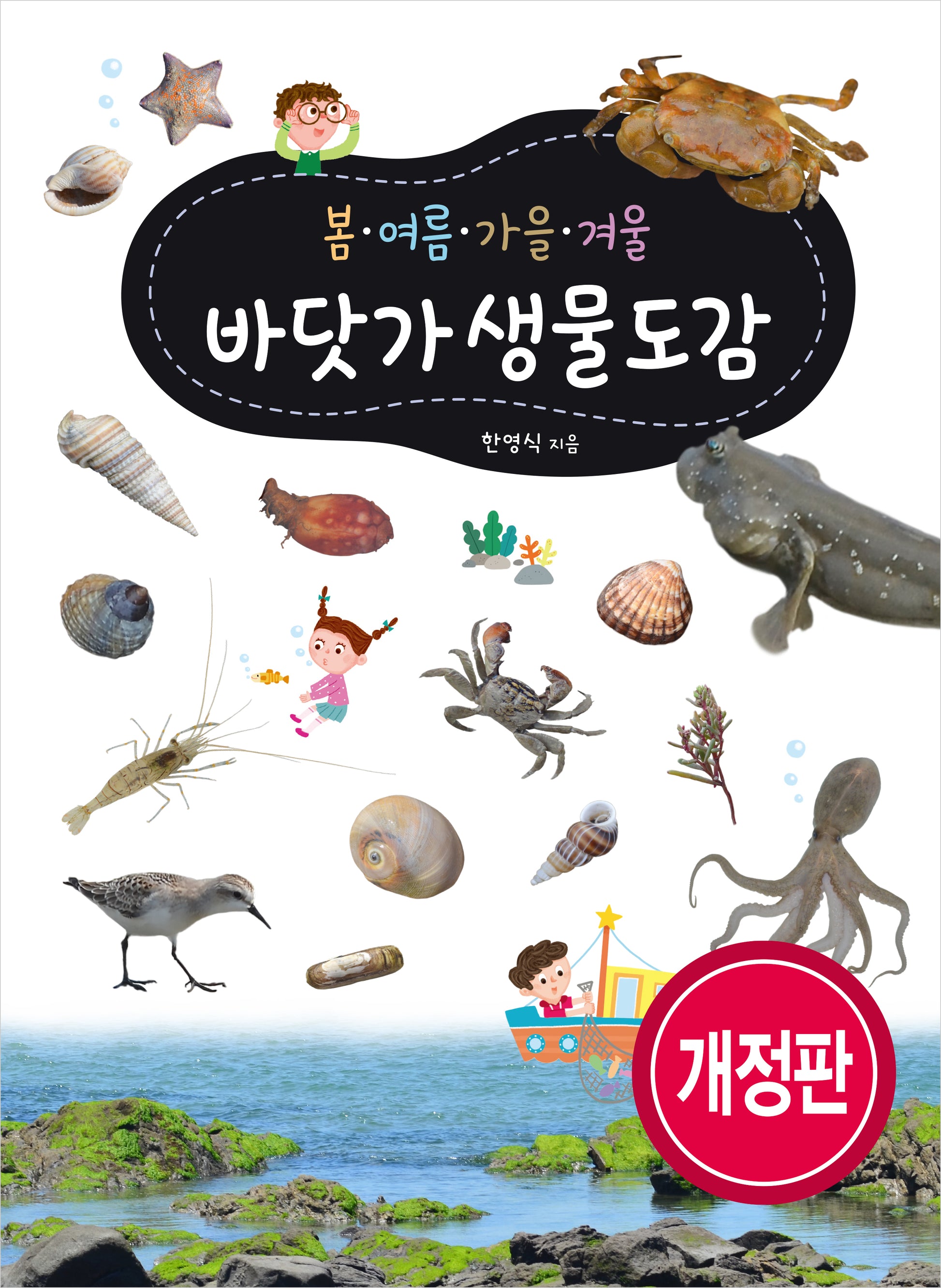 봄 여름 가을 겨울 바닷가 생물도감(개정판)(봄ㆍ여름ㆍ가을ㆍ겨울 도감 시리즈)
