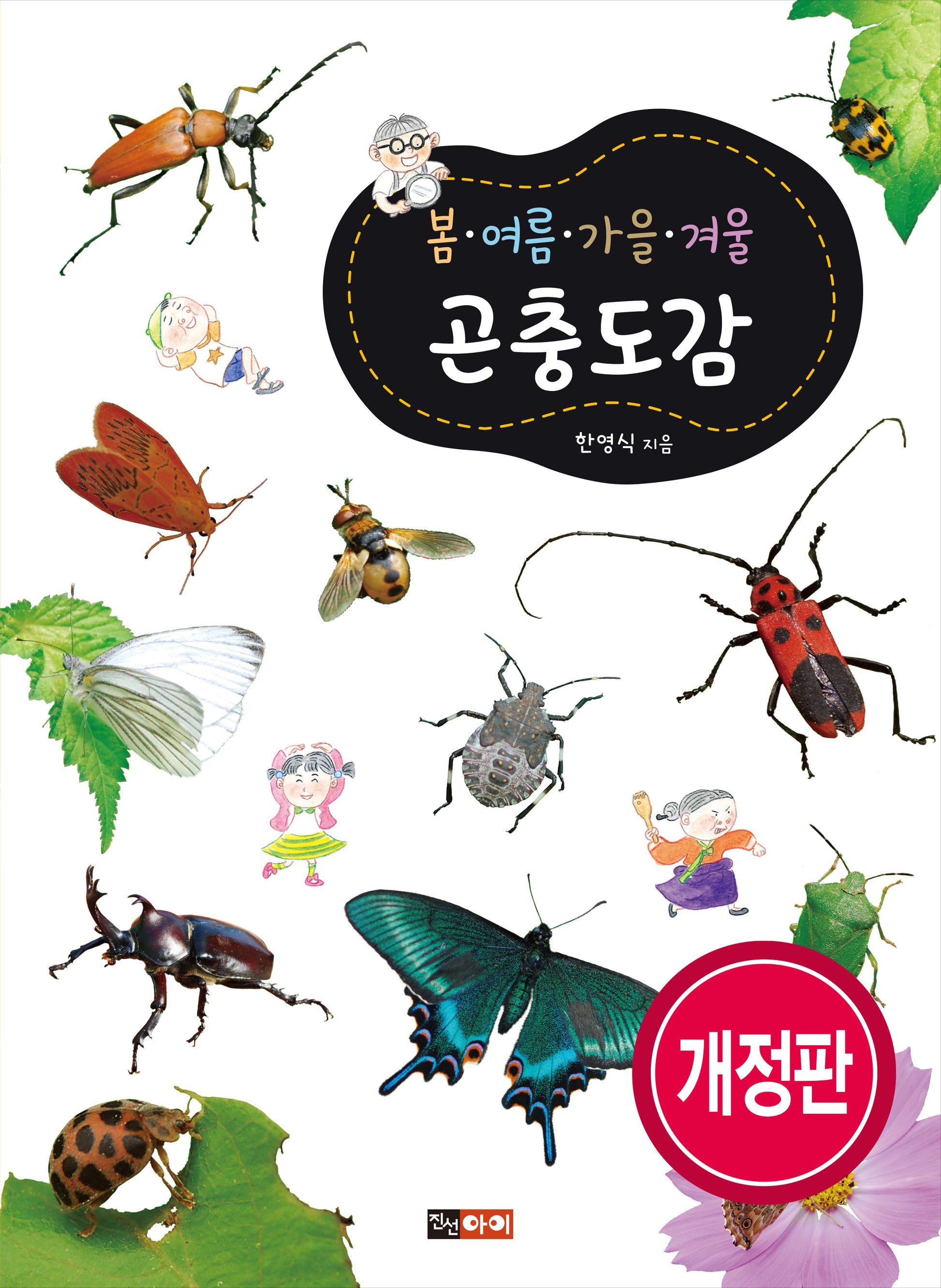 봄 여름 가을 겨울 곤충도감(개정판)(봄ㆍ여름ㆍ가을ㆍ겨울 도감 시리즈)