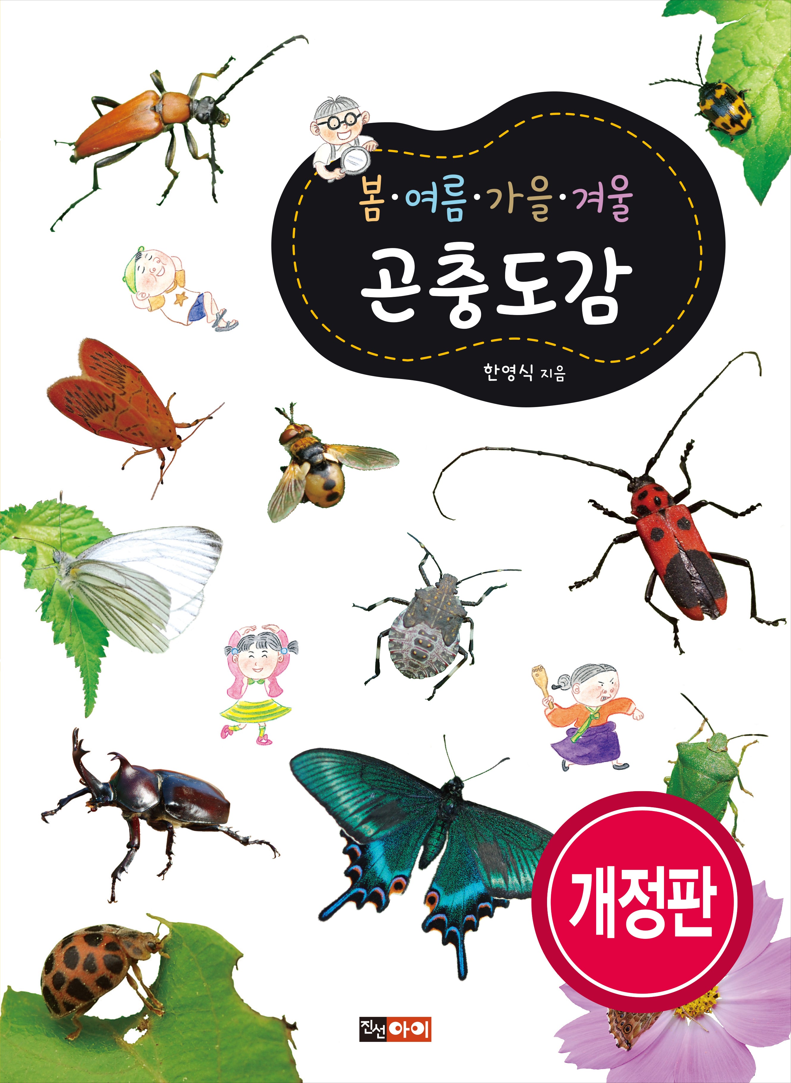 봄 여름 가을 겨울 곤충도감(개정판)(봄ㆍ여름ㆍ가을ㆍ겨울 도감 시리즈)