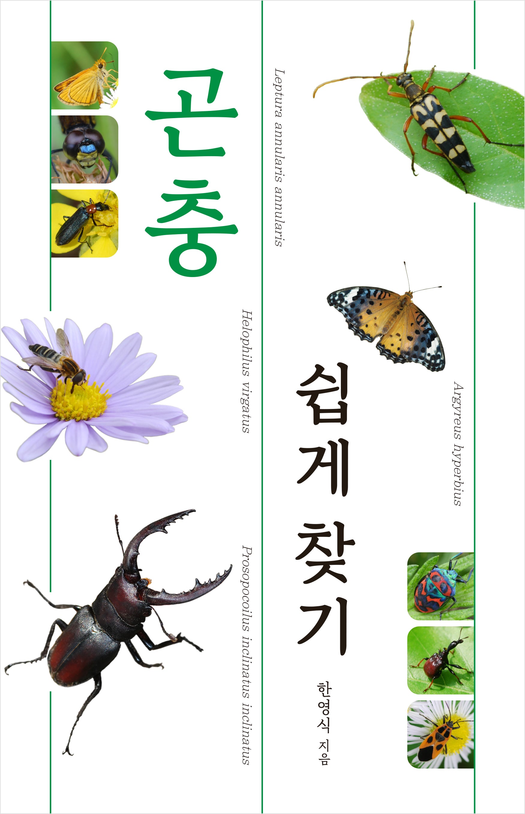 곤충 쉽게 찾기(개정판)(자연 쉽게 찾기 시리즈)(양장본 Hardcover)