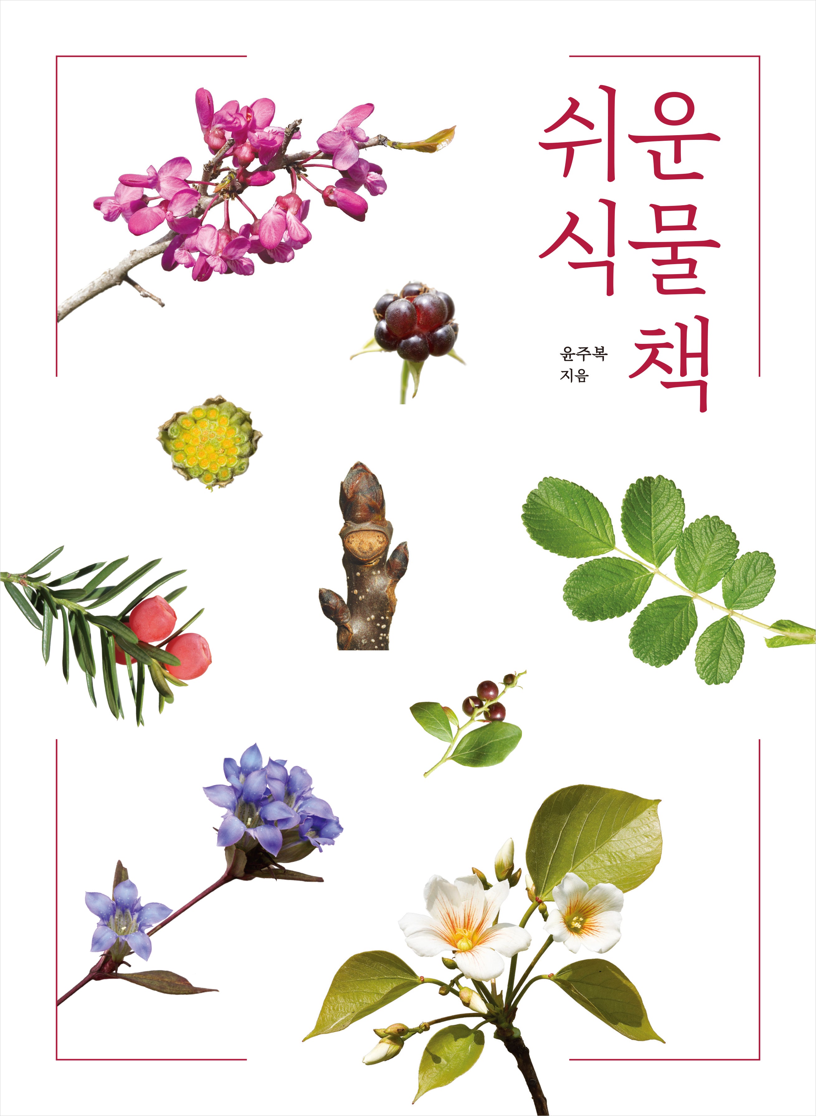 쉬운 식물책(개정판)