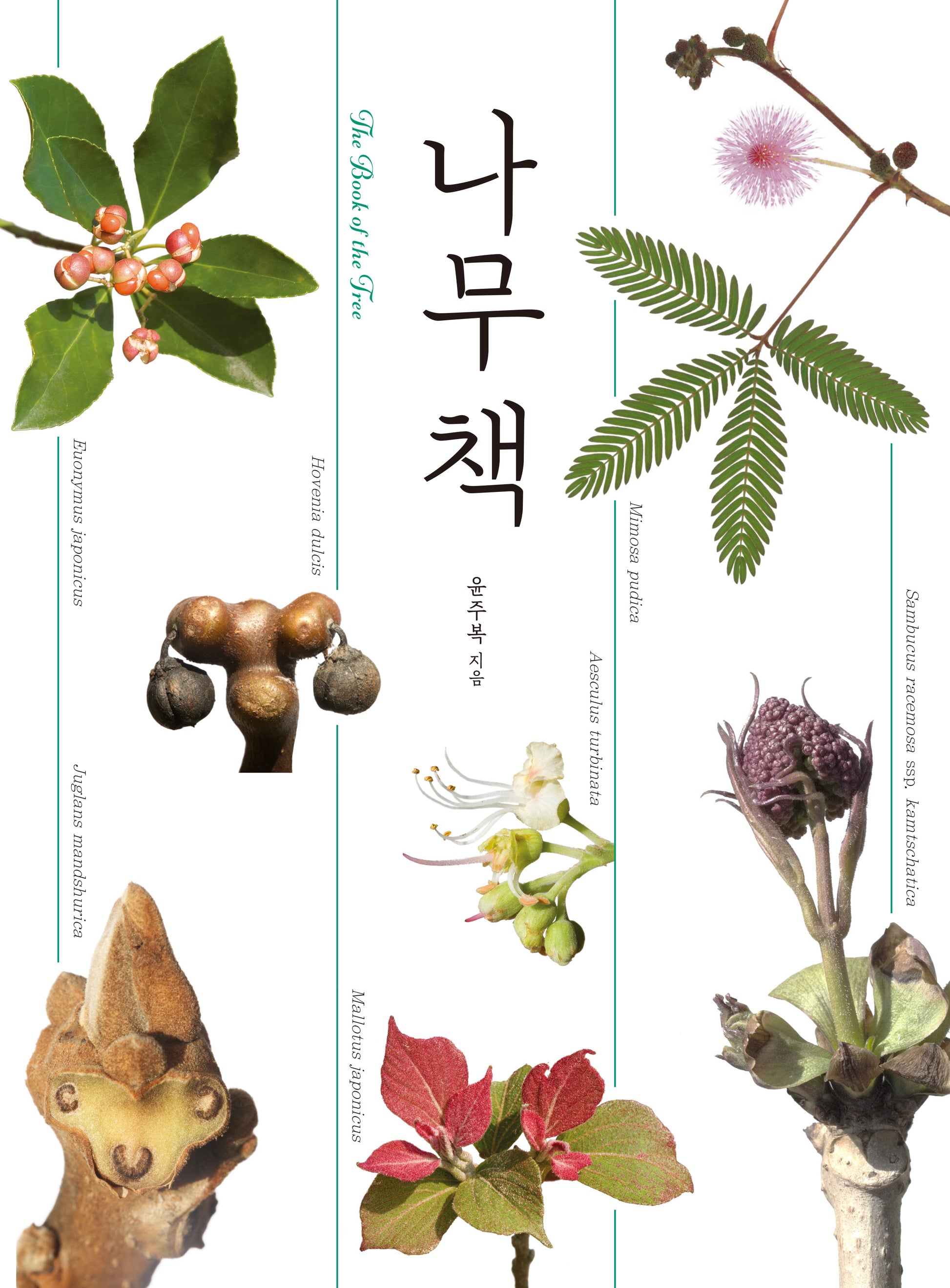 나무 책(양장본 Hardcover)