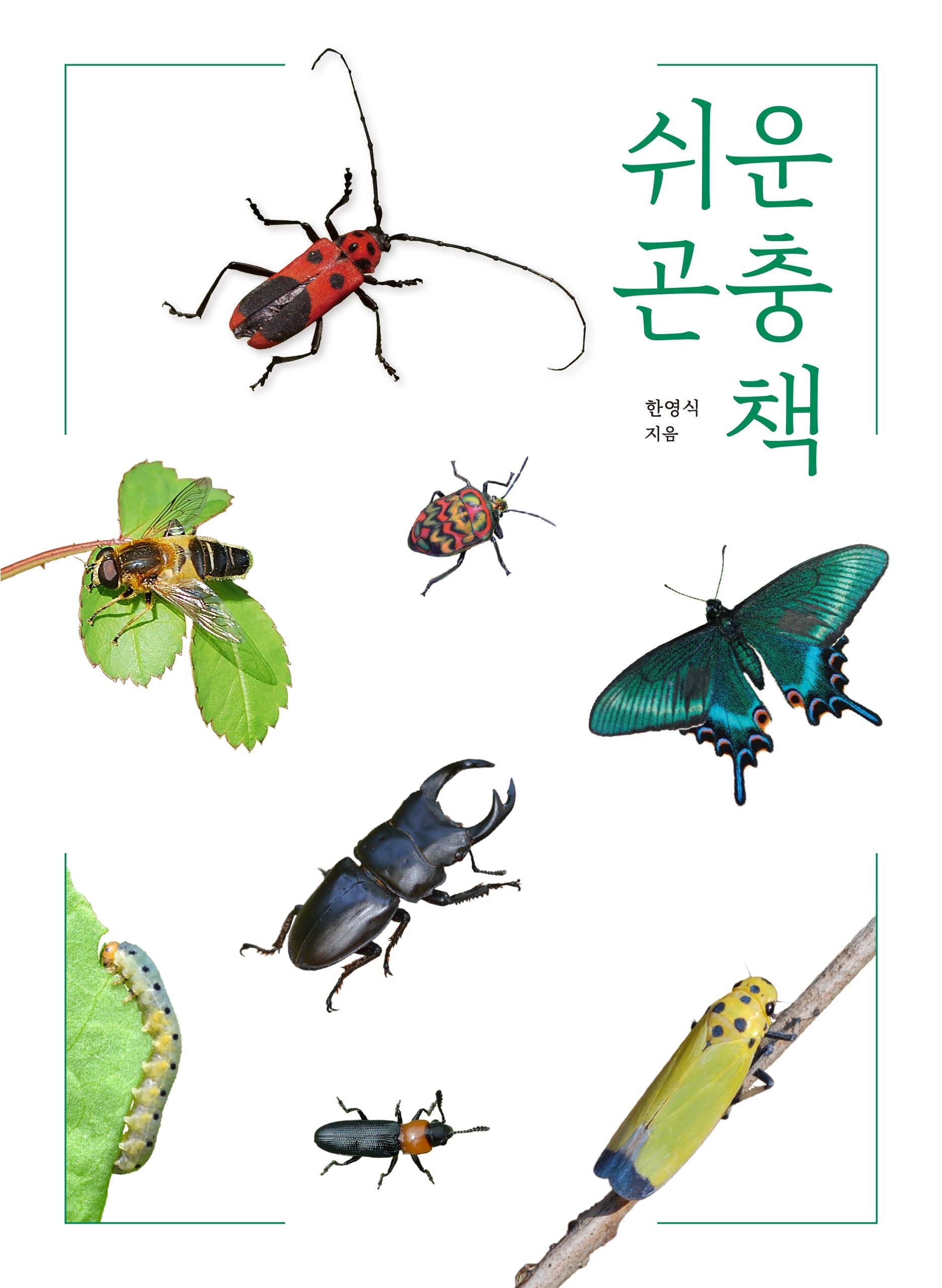 쉬운 곤충책(개정판)