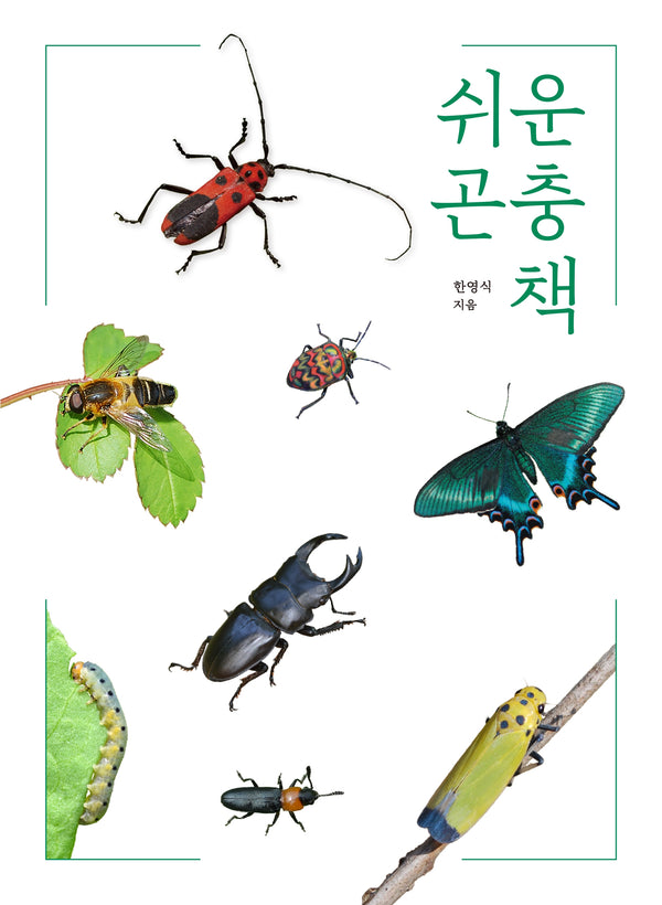 쉬운 곤충책(개정판)