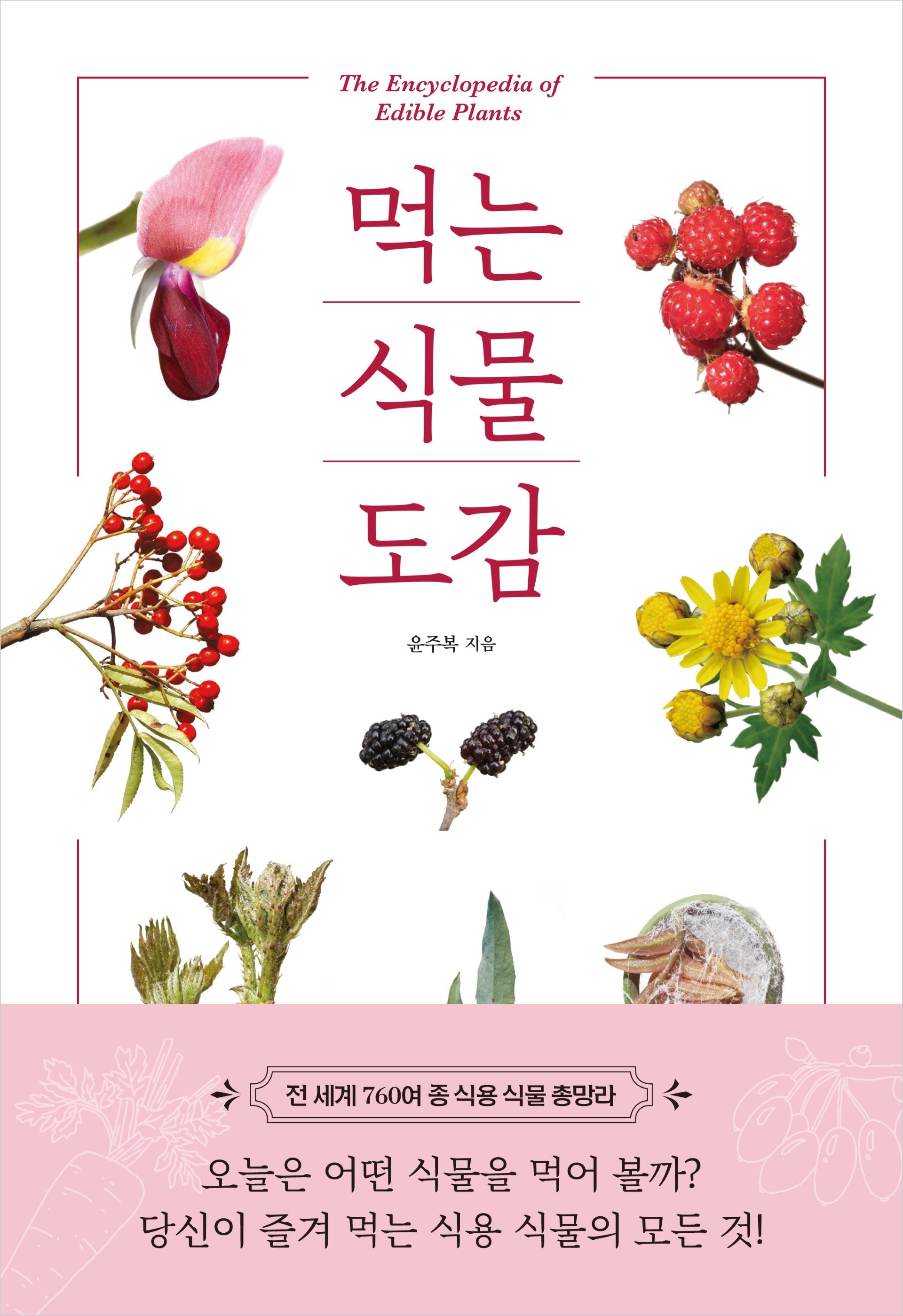 먹는 식물 도감