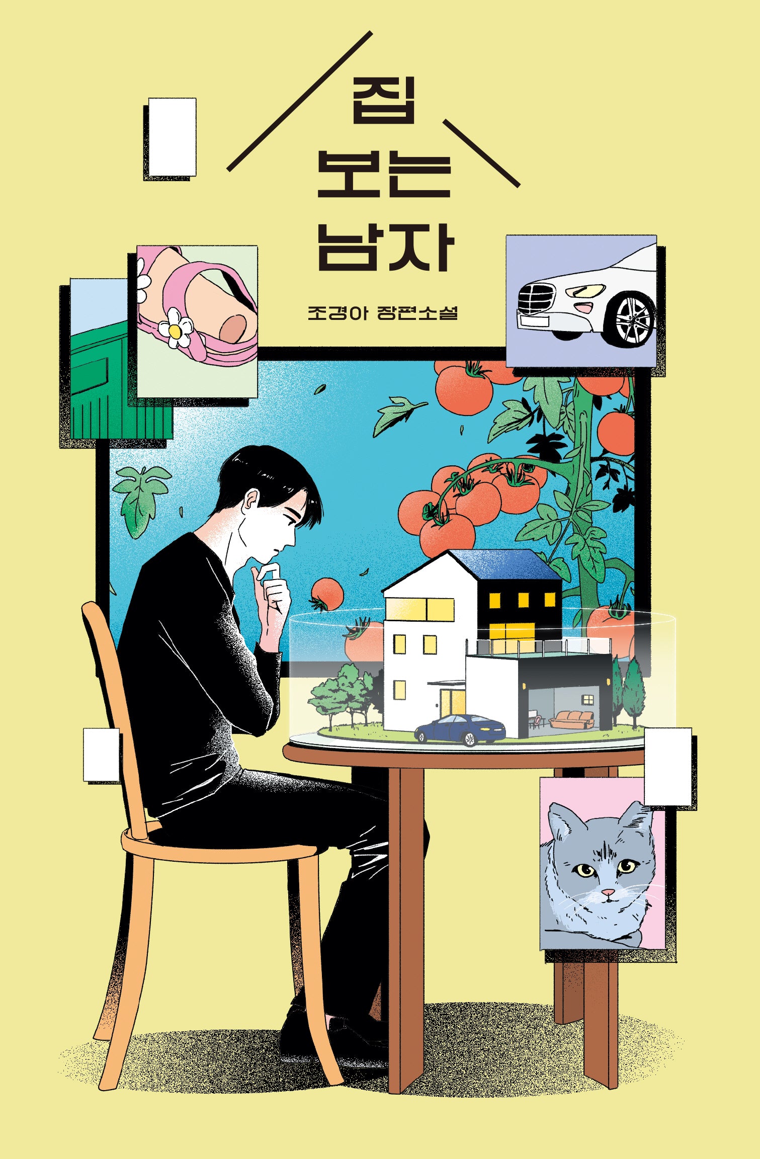 집 보는 남자(안전가옥 오리지널 28)