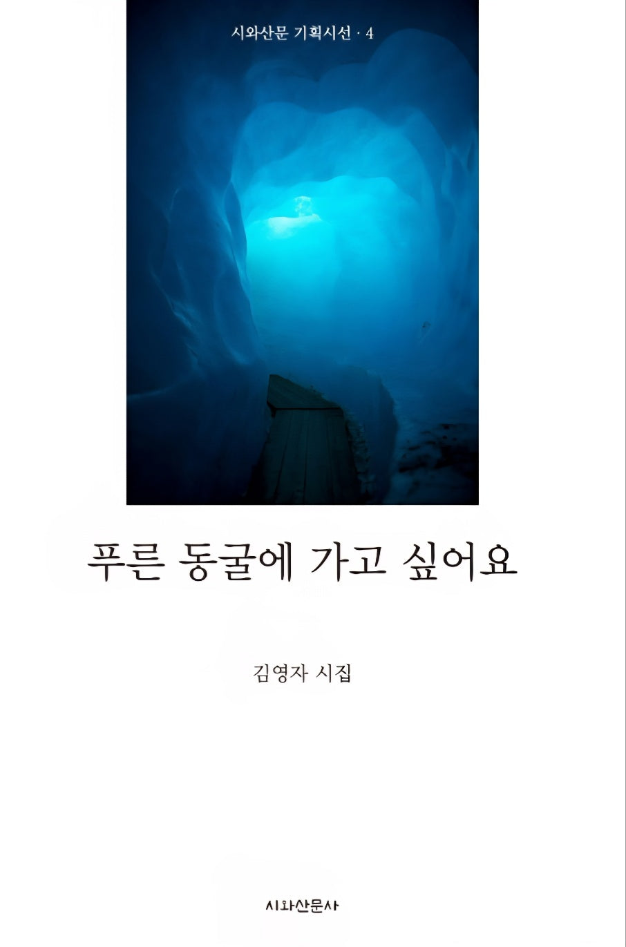 푸른 동굴에 가고 싶어요(시와산문기획시선 4)