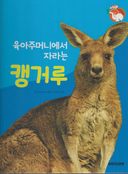 육아주머니에서 자라는 캥거루(세이펜 적용)(+Up 자연속으로)