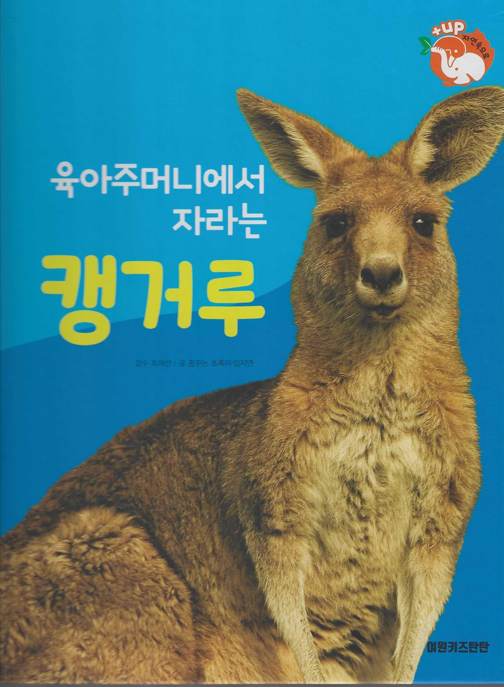 육아주머니에서 자라는 캥거루(세이펜 적용)(+Up 자연속으로)