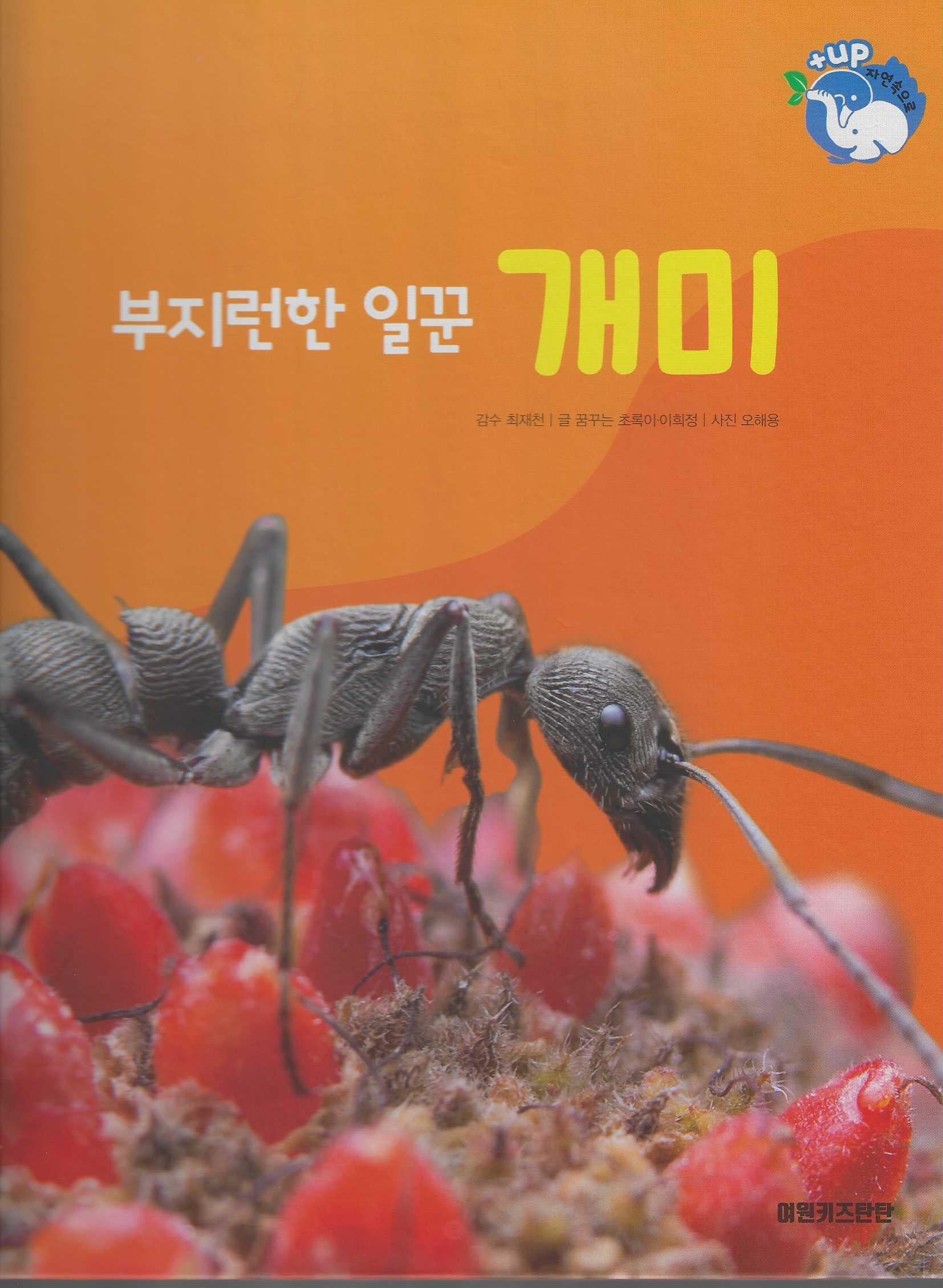부지런한 일꾼 개미(세이펜 적용)(+Up 자연속으로)