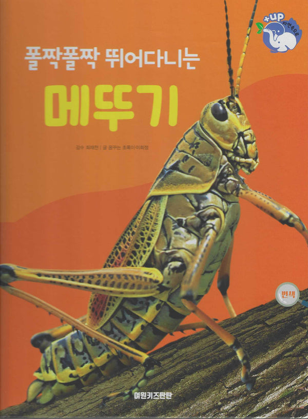 폴짝폴짝 뛰어다니는 메뚜기(세이펜 적용)(+Up 자연속으로)