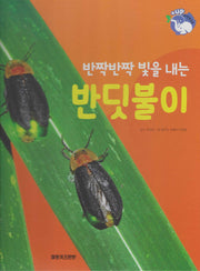 반짝반짝 빛을 내는 반딧불이(세이펜 적용)(+Up 자연속으로)