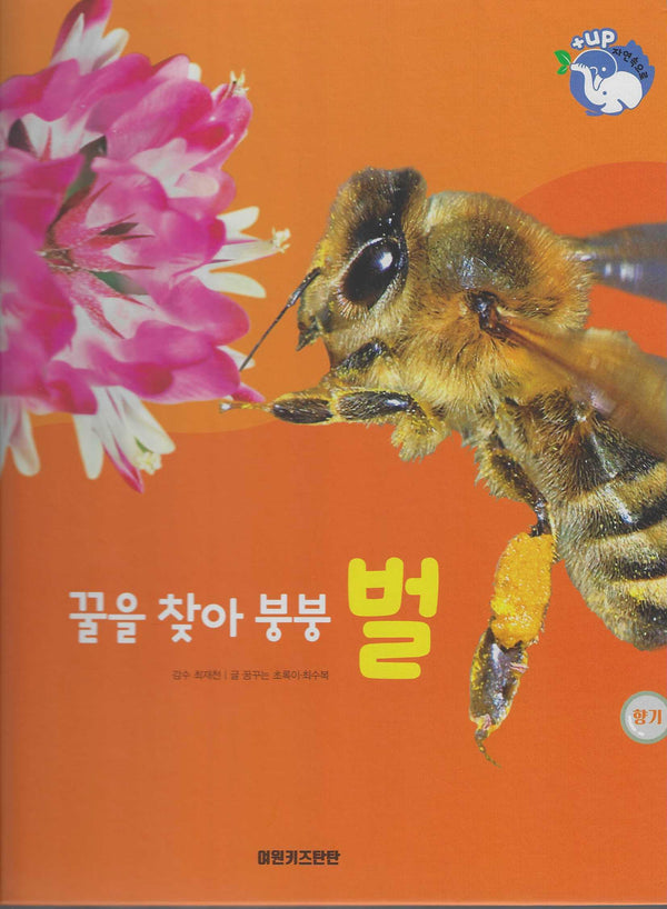 꿀을 찾아 붕붕 벌(세이펜 적용)(+Up 자연속으로)