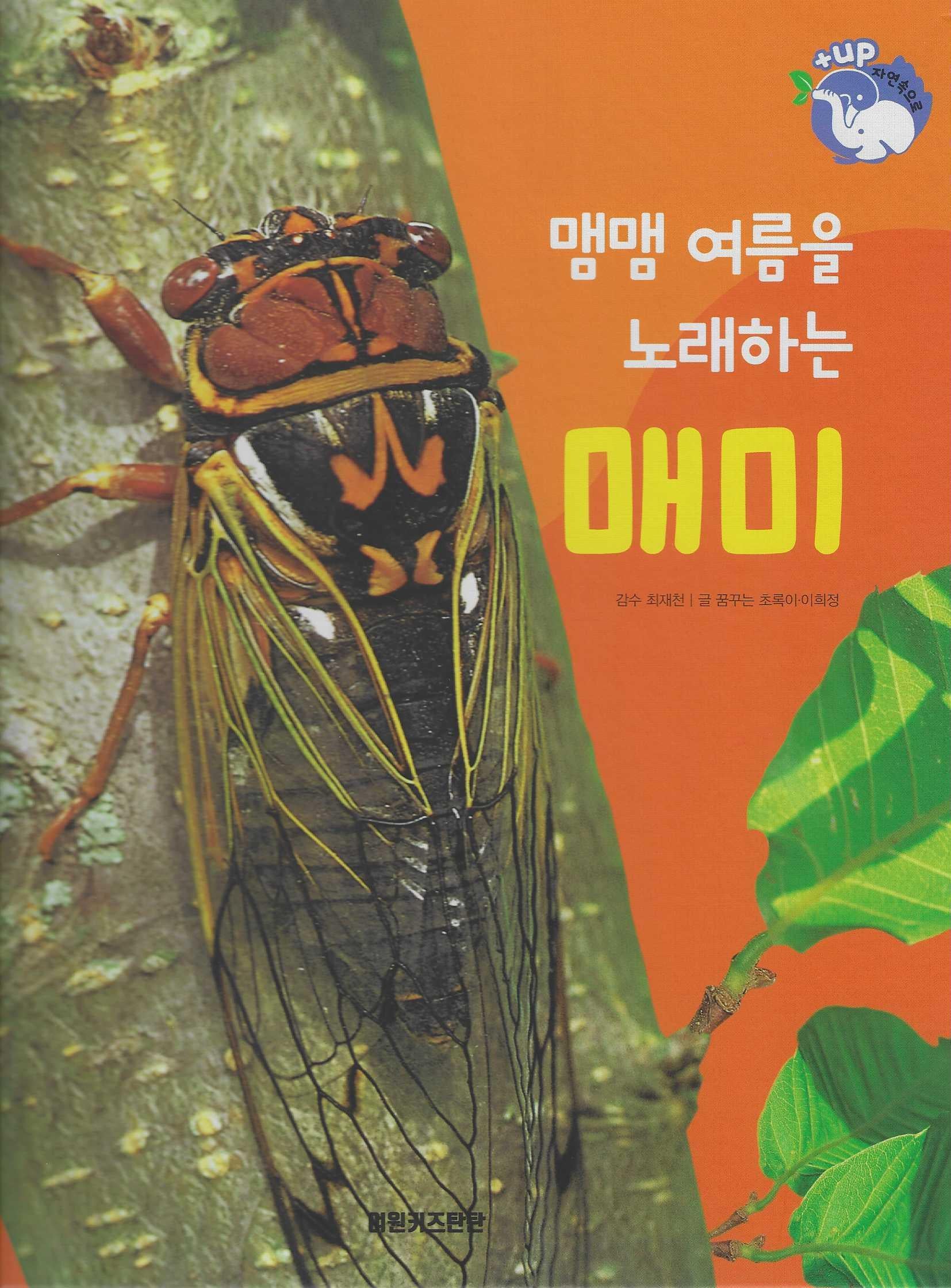 맴맴 여름을 노래하는 매미(세이펜 적용)(+Up 자연속으로)